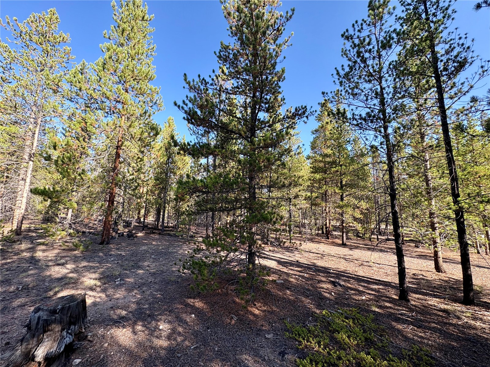 776 Birch Drive Twin Lakes CO 80461