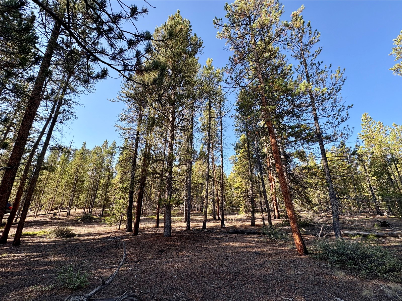 776 Birch Drive Twin Lakes CO 80461