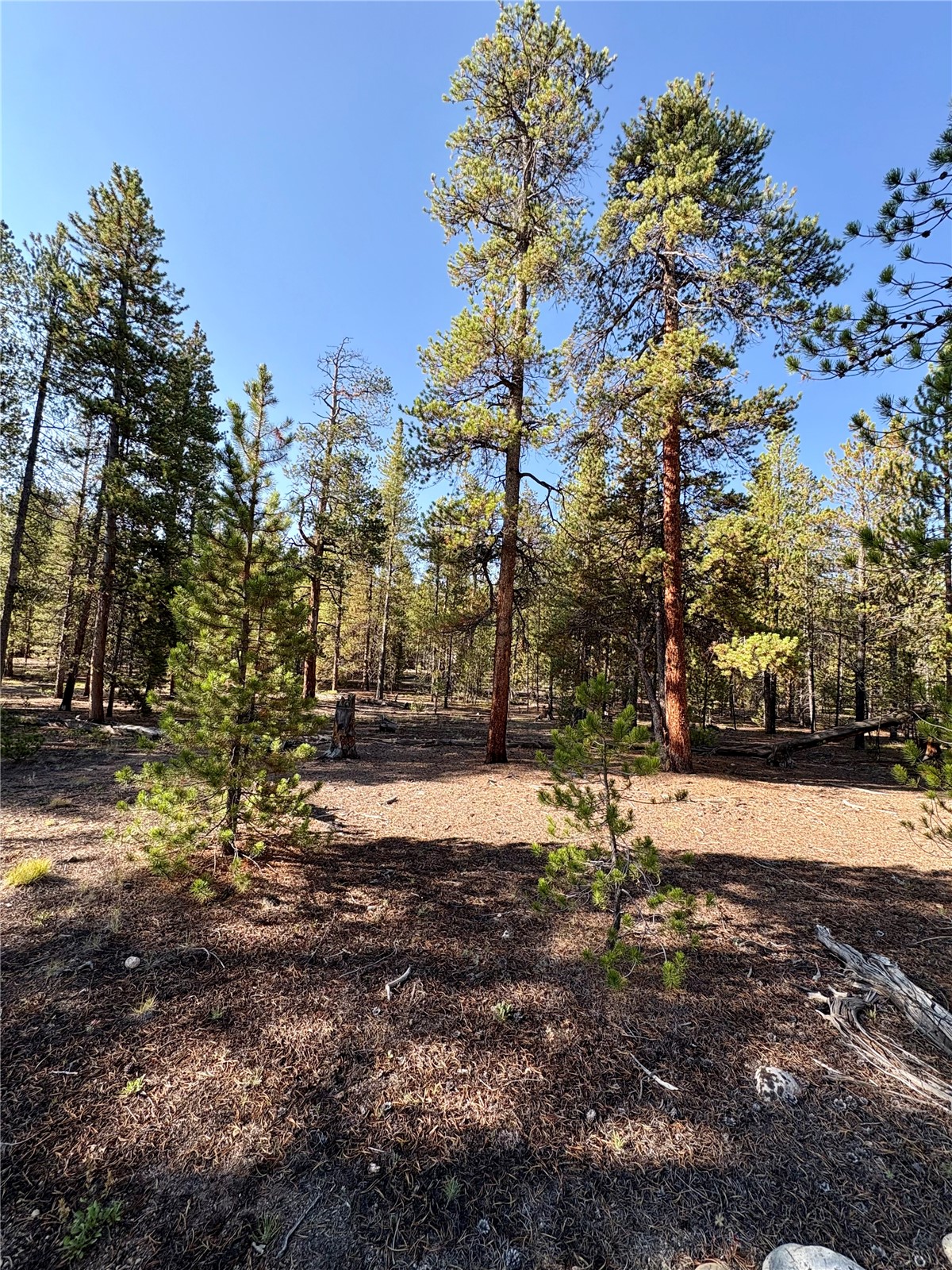 776 Birch Drive Twin Lakes CO 80461