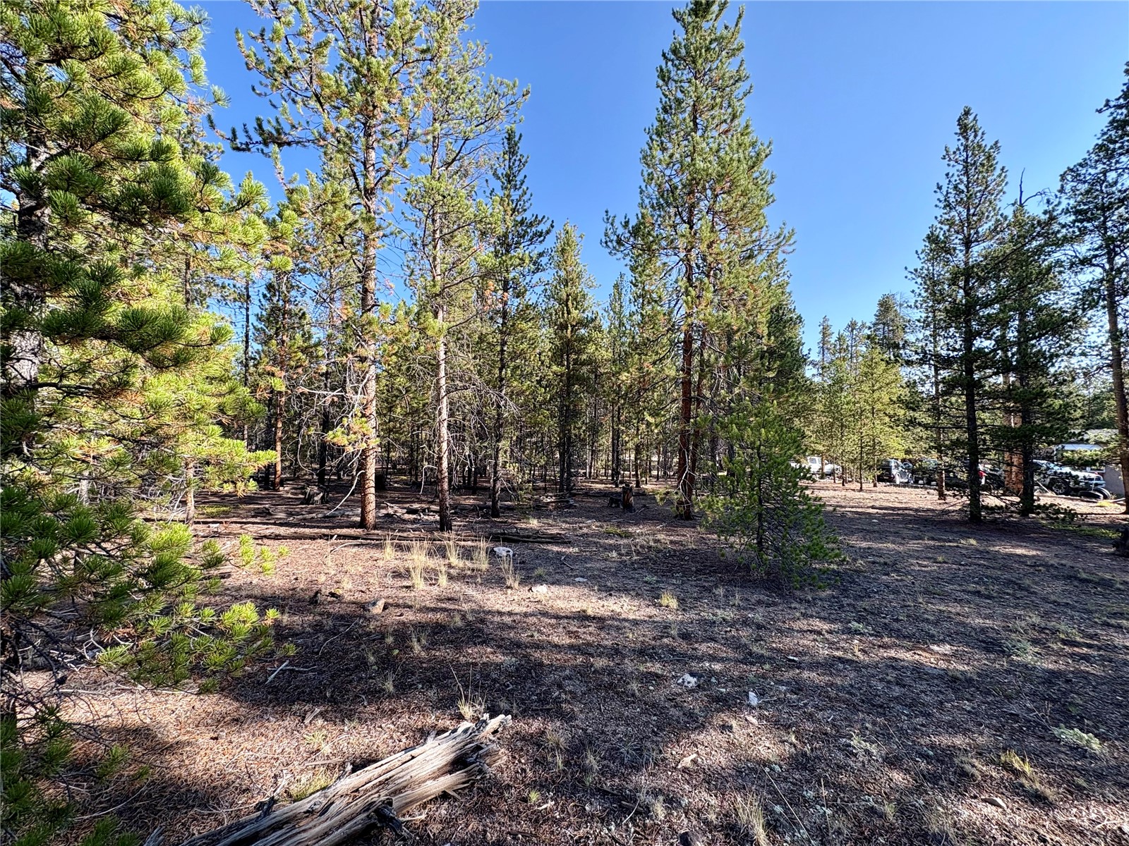 776 Birch Drive Twin Lakes CO 80461