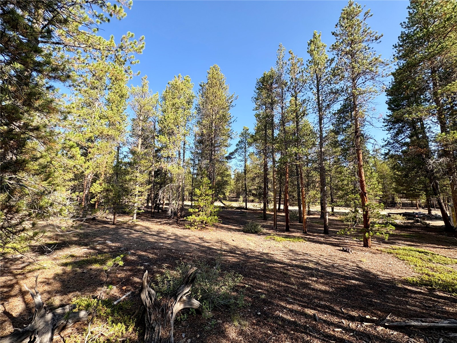776 Birch Drive Twin Lakes CO 80461