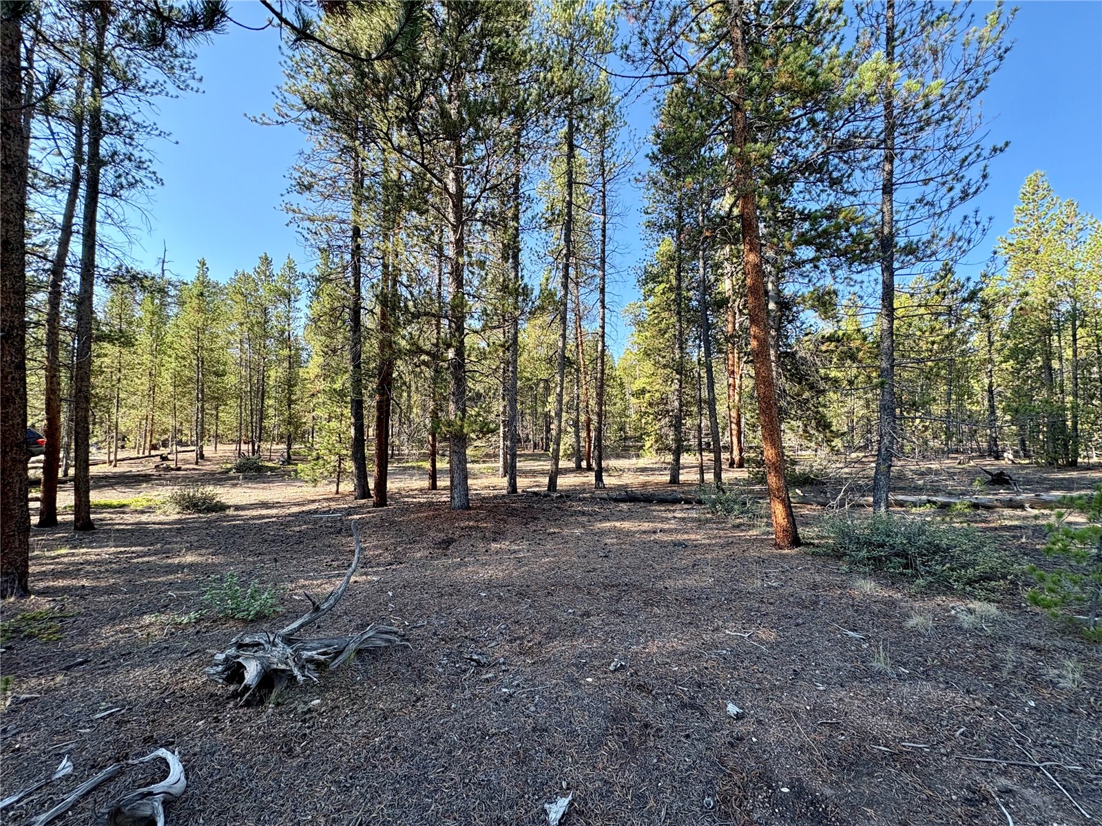 776 Birch Drive Twin Lakes CO 80461