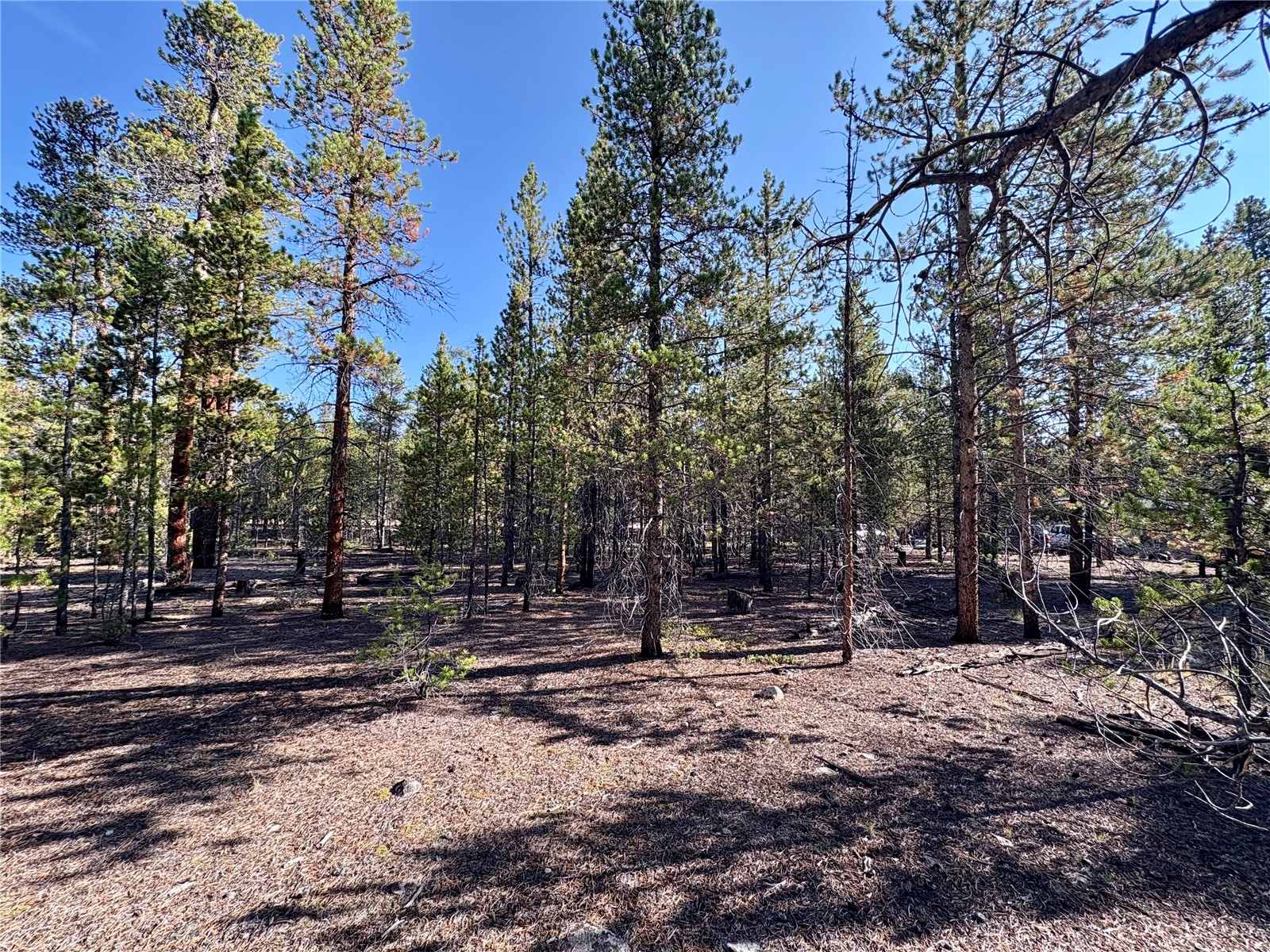 776 Birch Drive Twin Lakes CO 80461