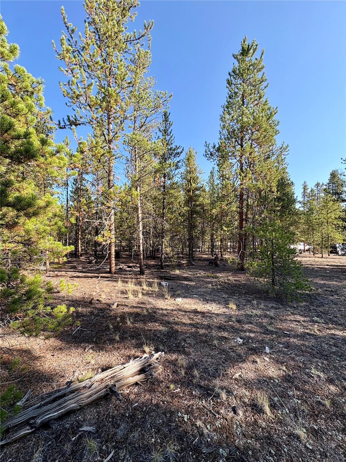776 Birch Drive Twin Lakes CO 80461