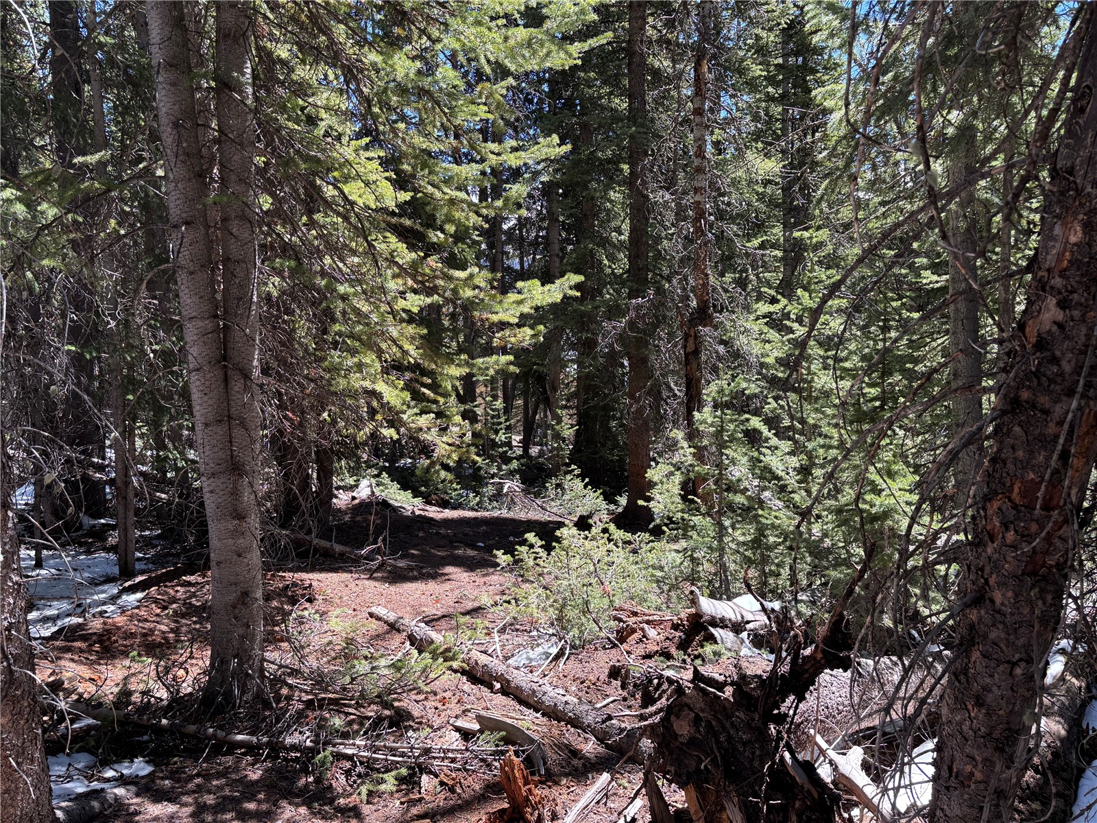 192 Kimmes Lane Breckenridge CO 80424
