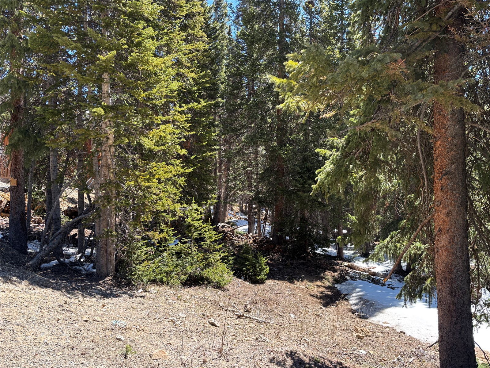 192 Kimmes Lane Breckenridge CO 80424