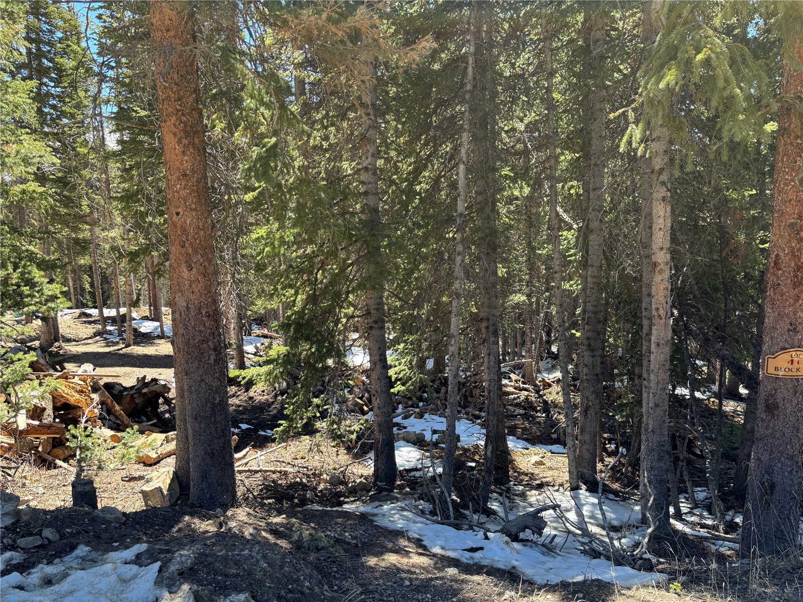 192 Kimmes Lane Breckenridge CO 80424