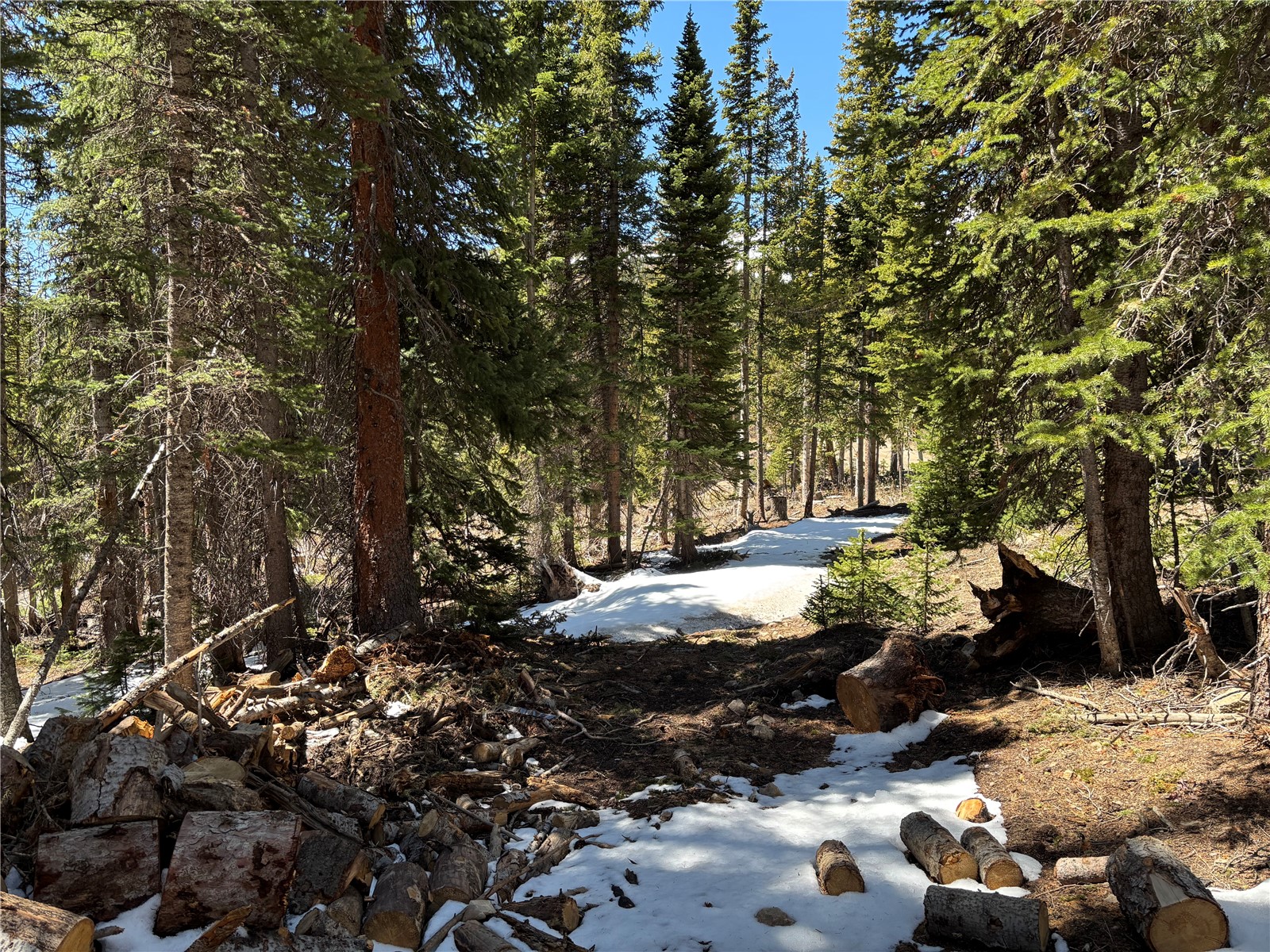 192 Kimmes Lane Breckenridge CO 80424