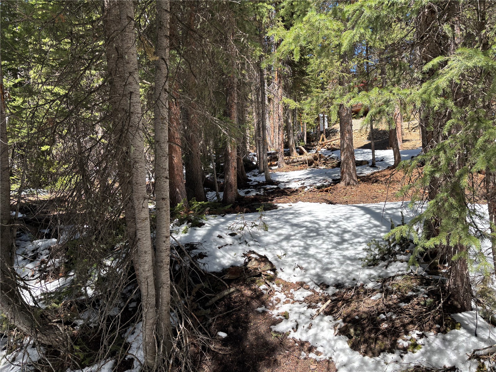 192 Kimmes Lane Breckenridge CO 80424