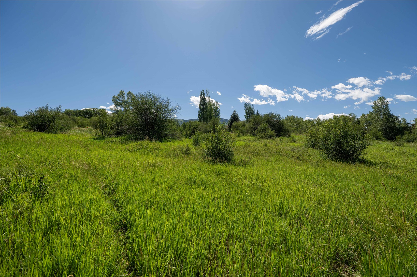 1350 Anglers Drive Steamboat Springs CO 80487