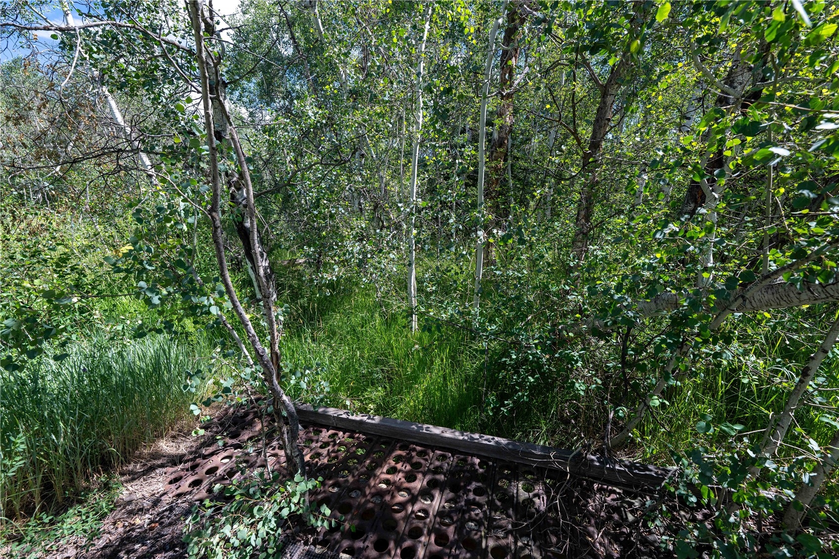 1350 Anglers Drive Steamboat Springs CO 80487