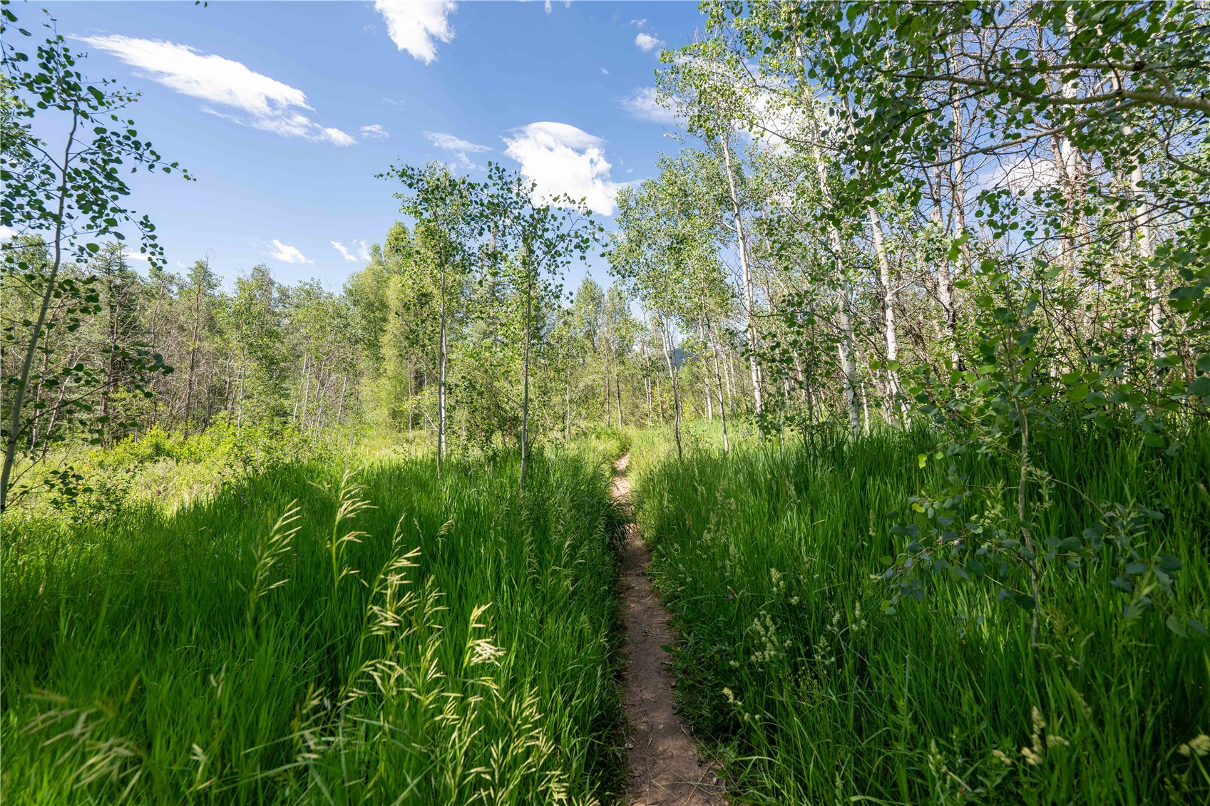 1350 Anglers Drive Steamboat Springs CO 80487