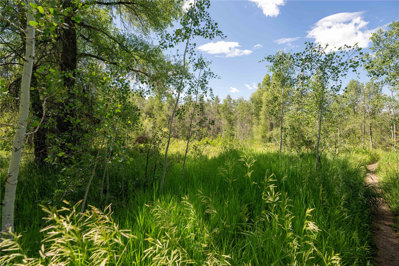1350 Anglers Drive Steamboat Springs CO 80487