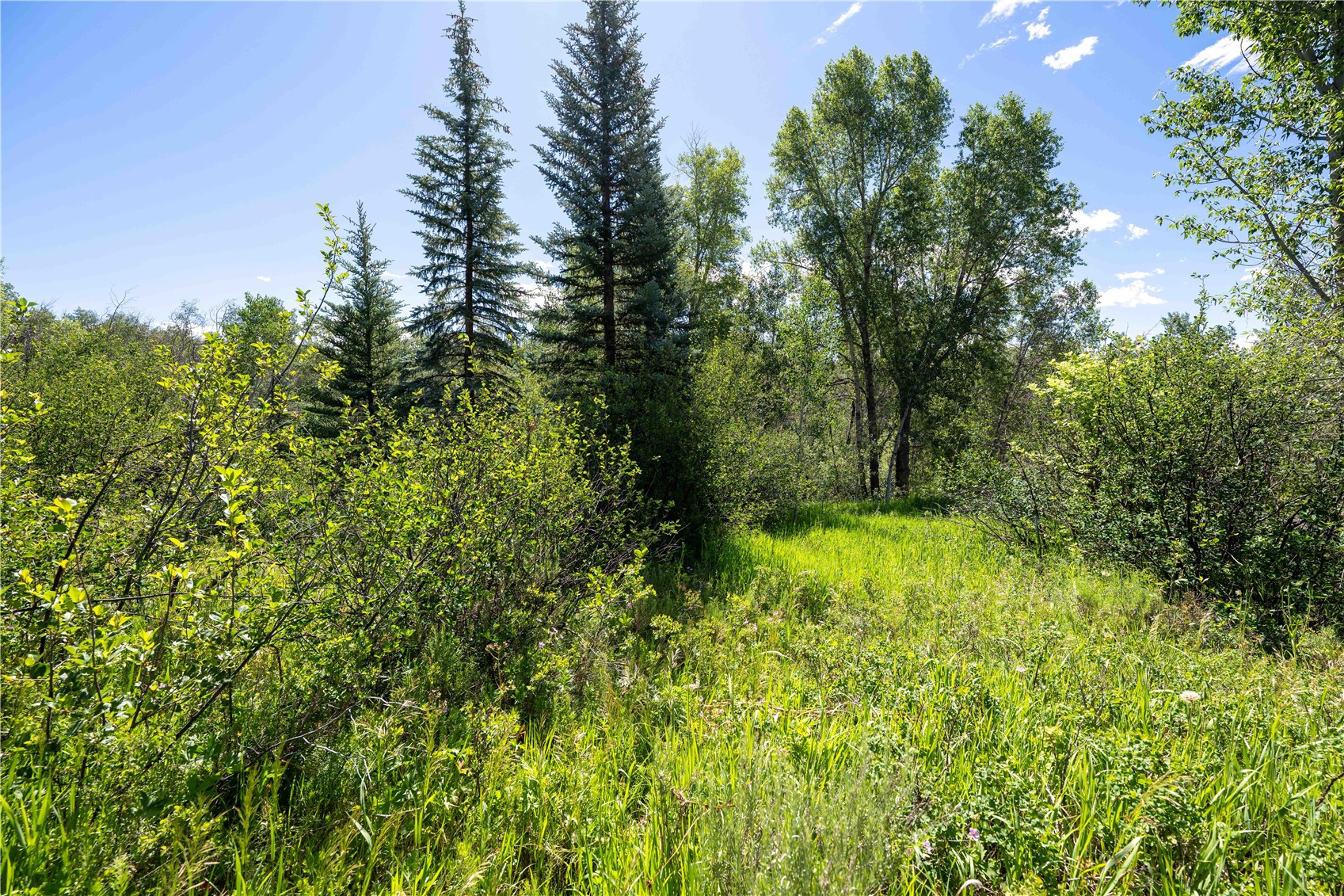 1350 Anglers Drive Steamboat Springs CO 80487