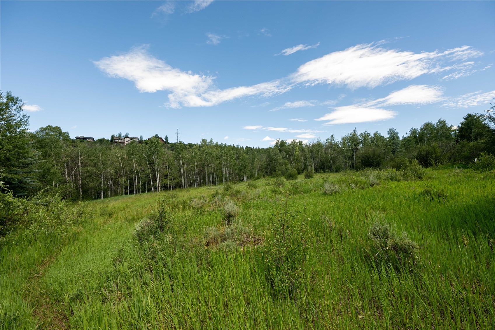 1350 Anglers Drive Steamboat Springs CO 80487
