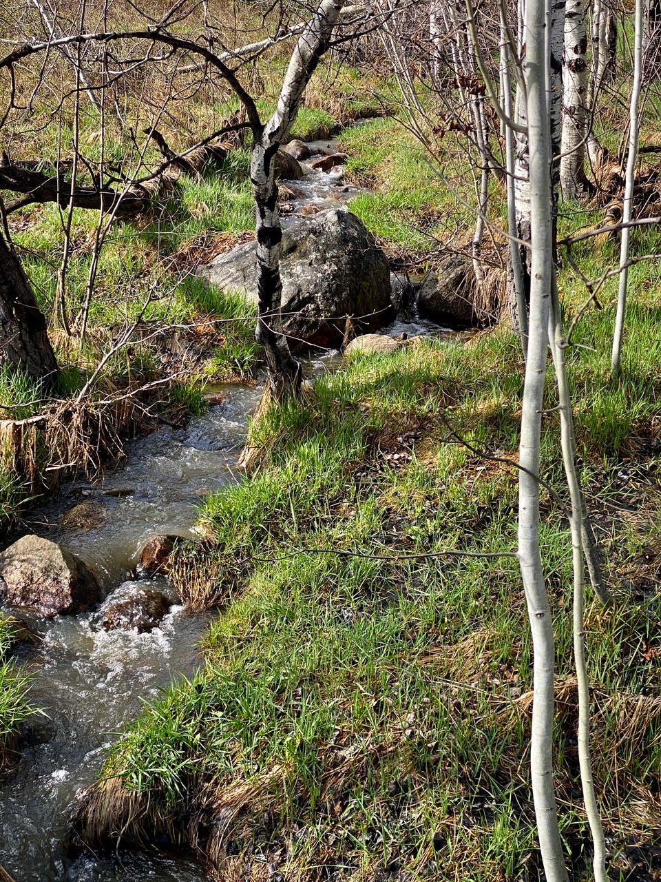 1350 Anglers Drive Steamboat Springs CO 80487