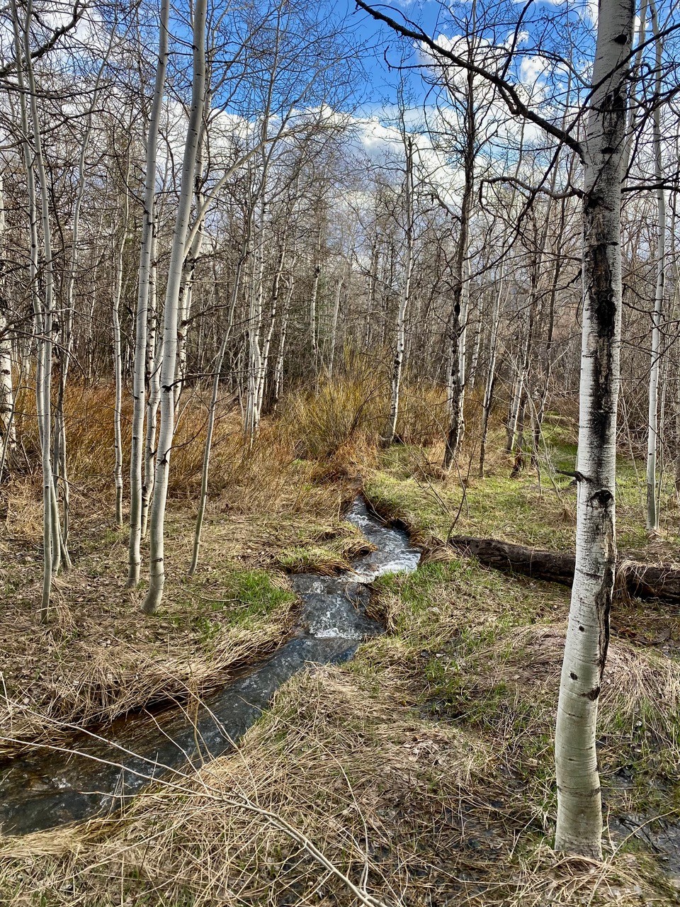 1350 Anglers Drive Steamboat Springs CO 80487