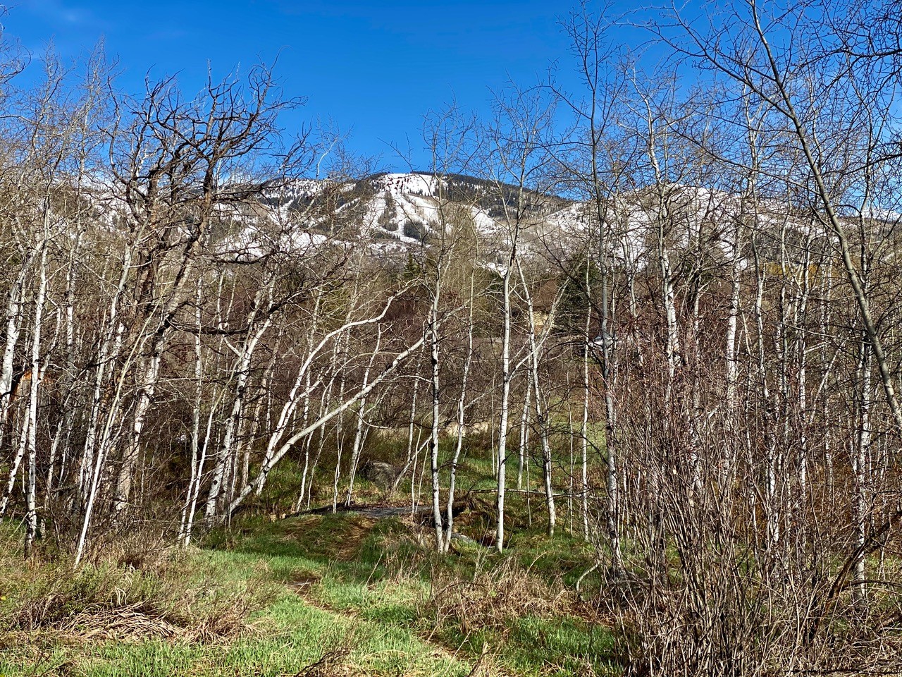 1350 Anglers Drive Steamboat Springs CO 80487