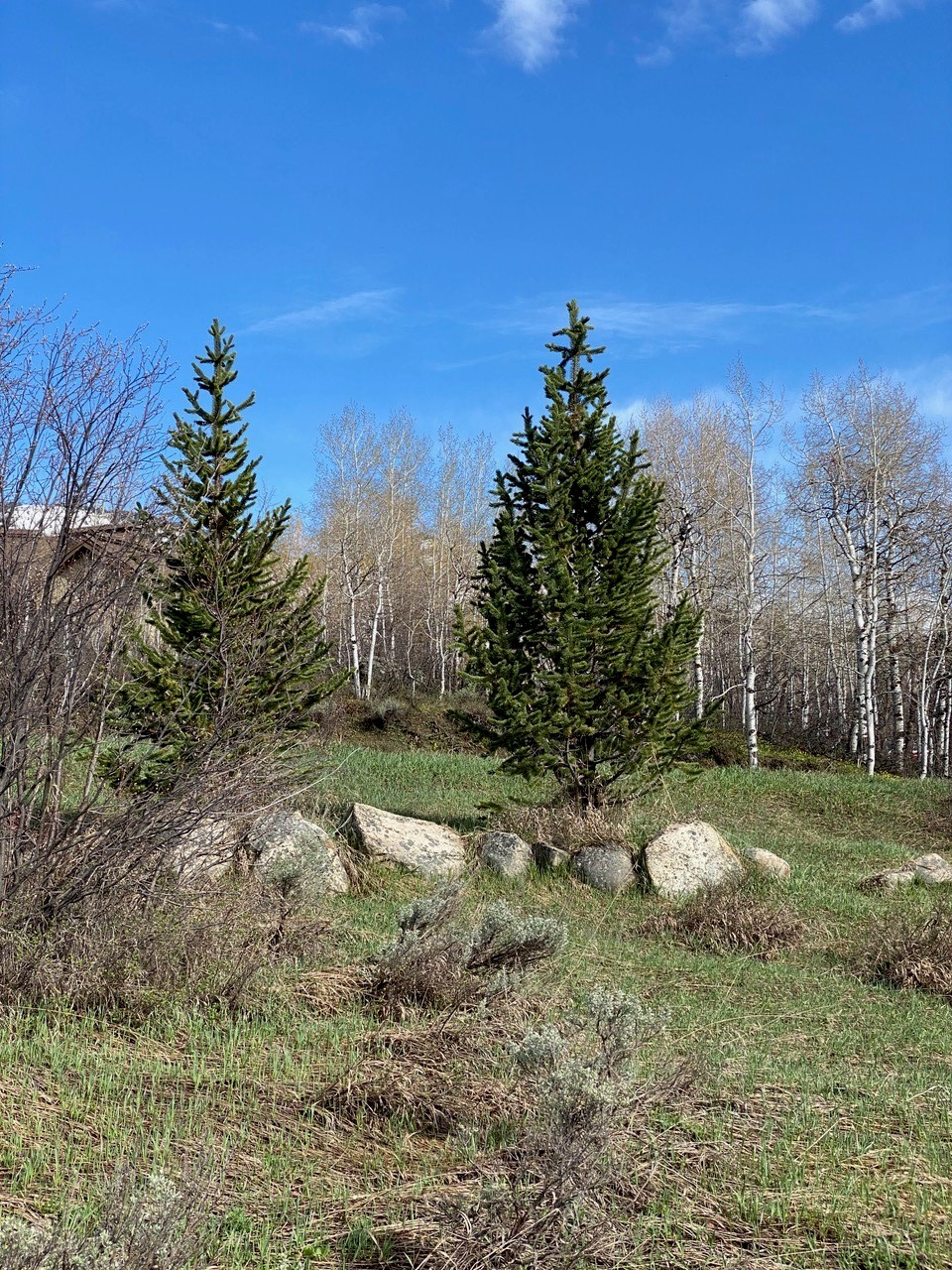 1350 Anglers Drive Steamboat Springs CO 80487