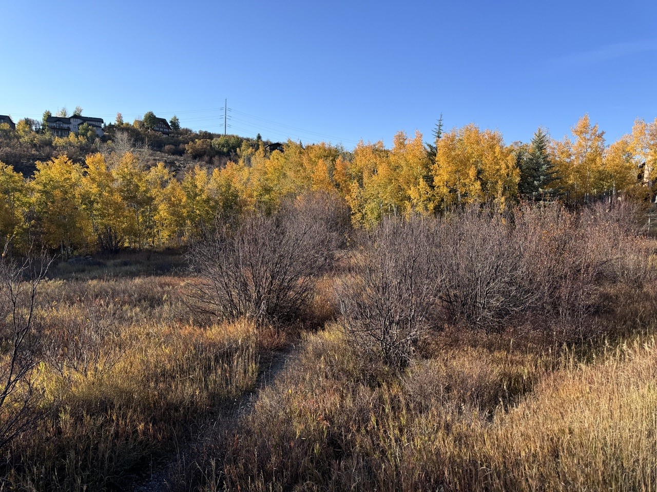 1350 Anglers Drive Steamboat Springs CO 80487