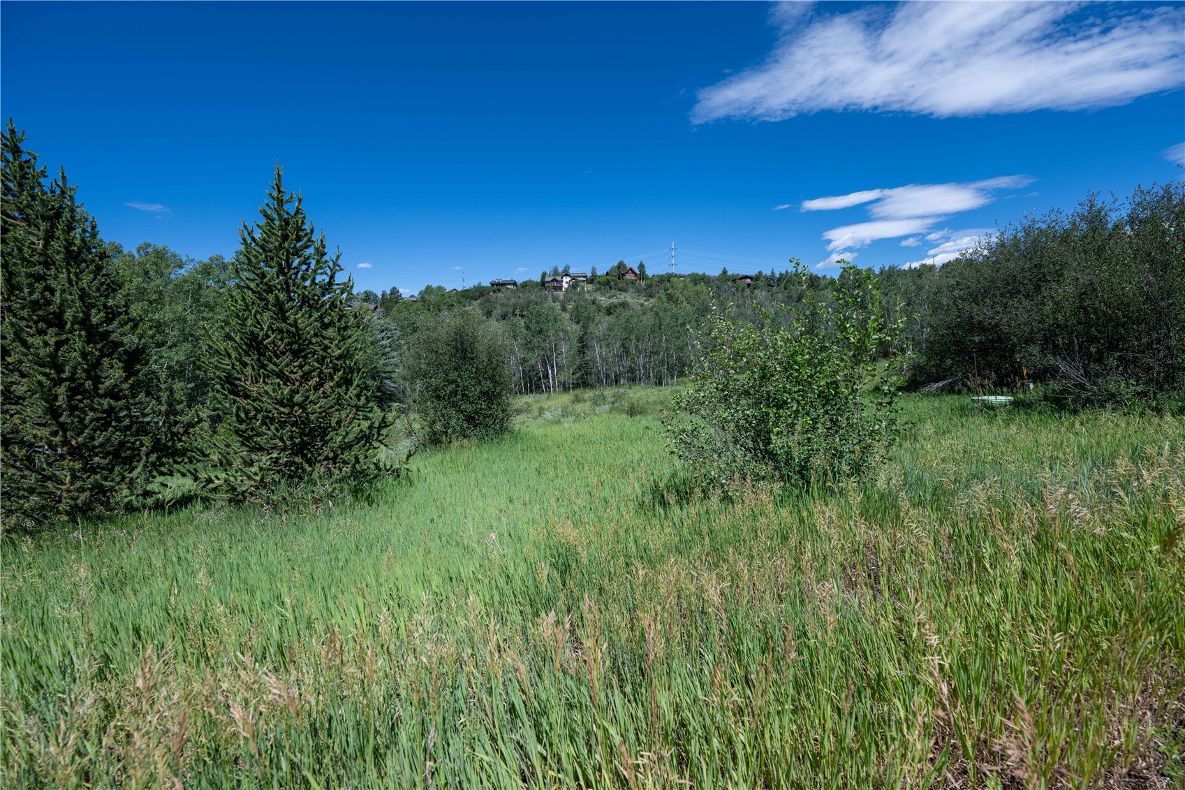 1350 Anglers Drive Steamboat Springs CO 80487