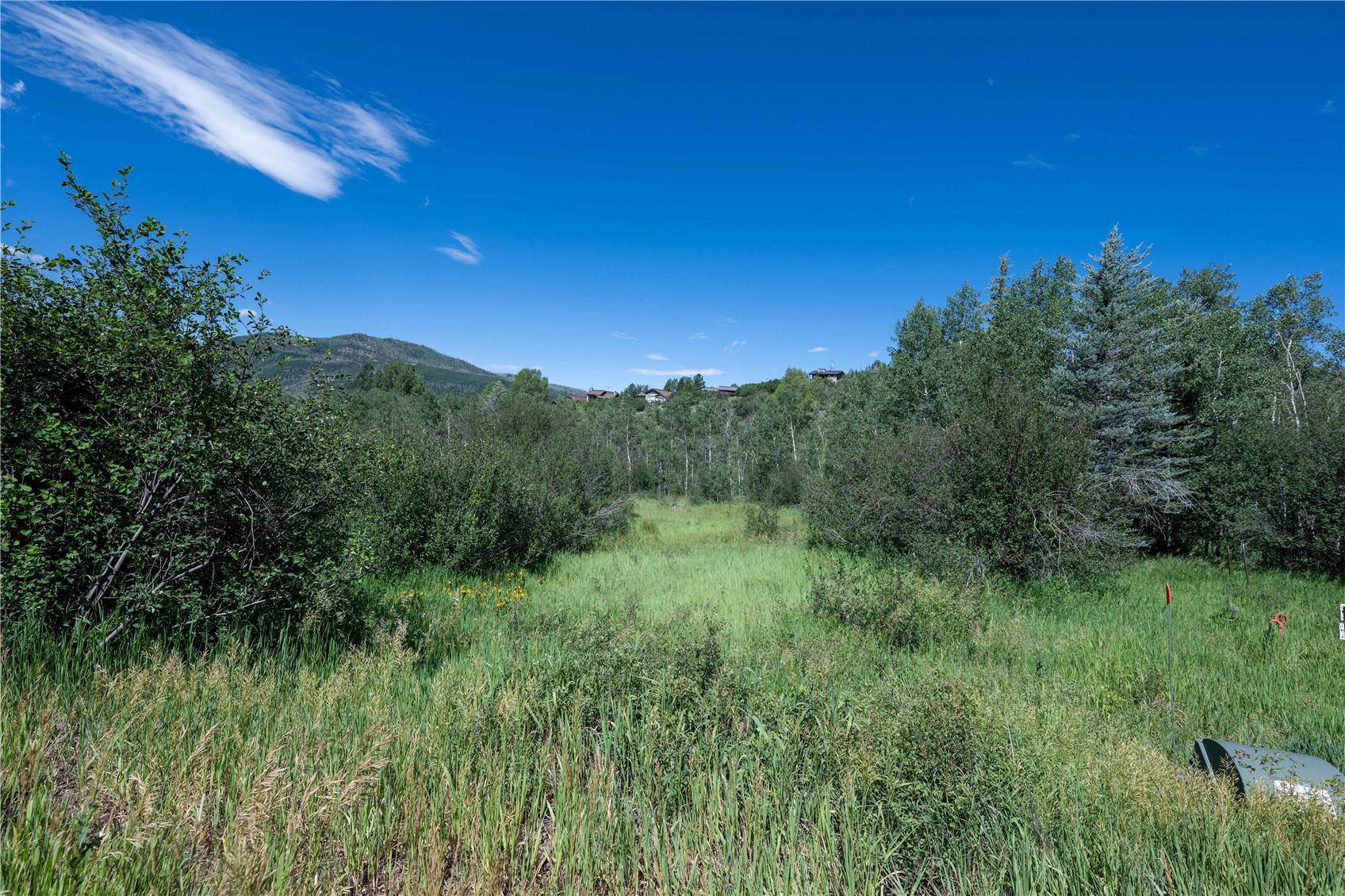 1350 Anglers Drive Steamboat Springs CO 80487