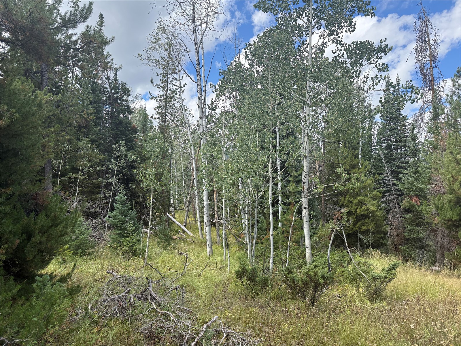 20875 Mustang Way Oak Creek CO 80467