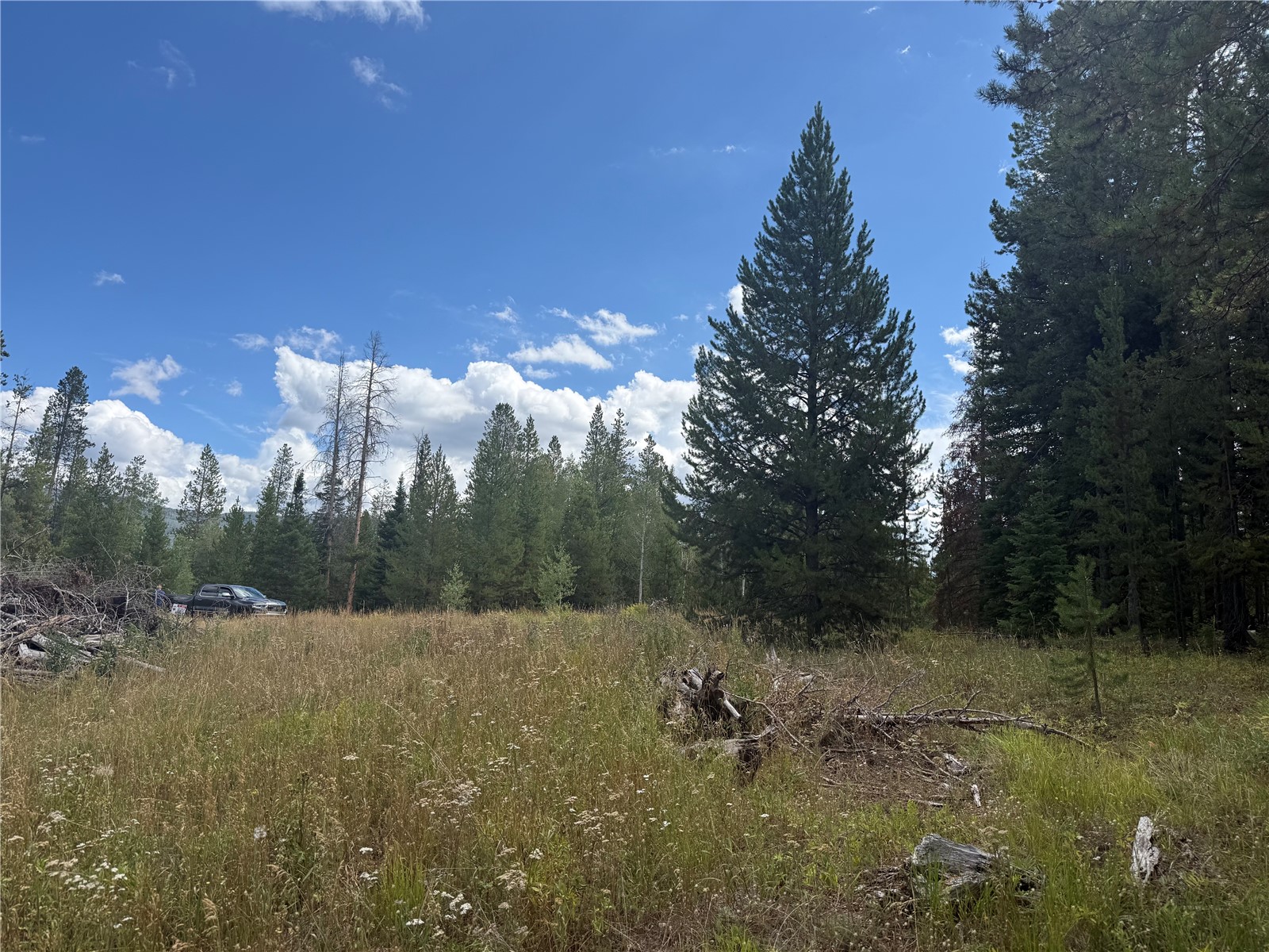 20875 Mustang Way Oak Creek CO 80467