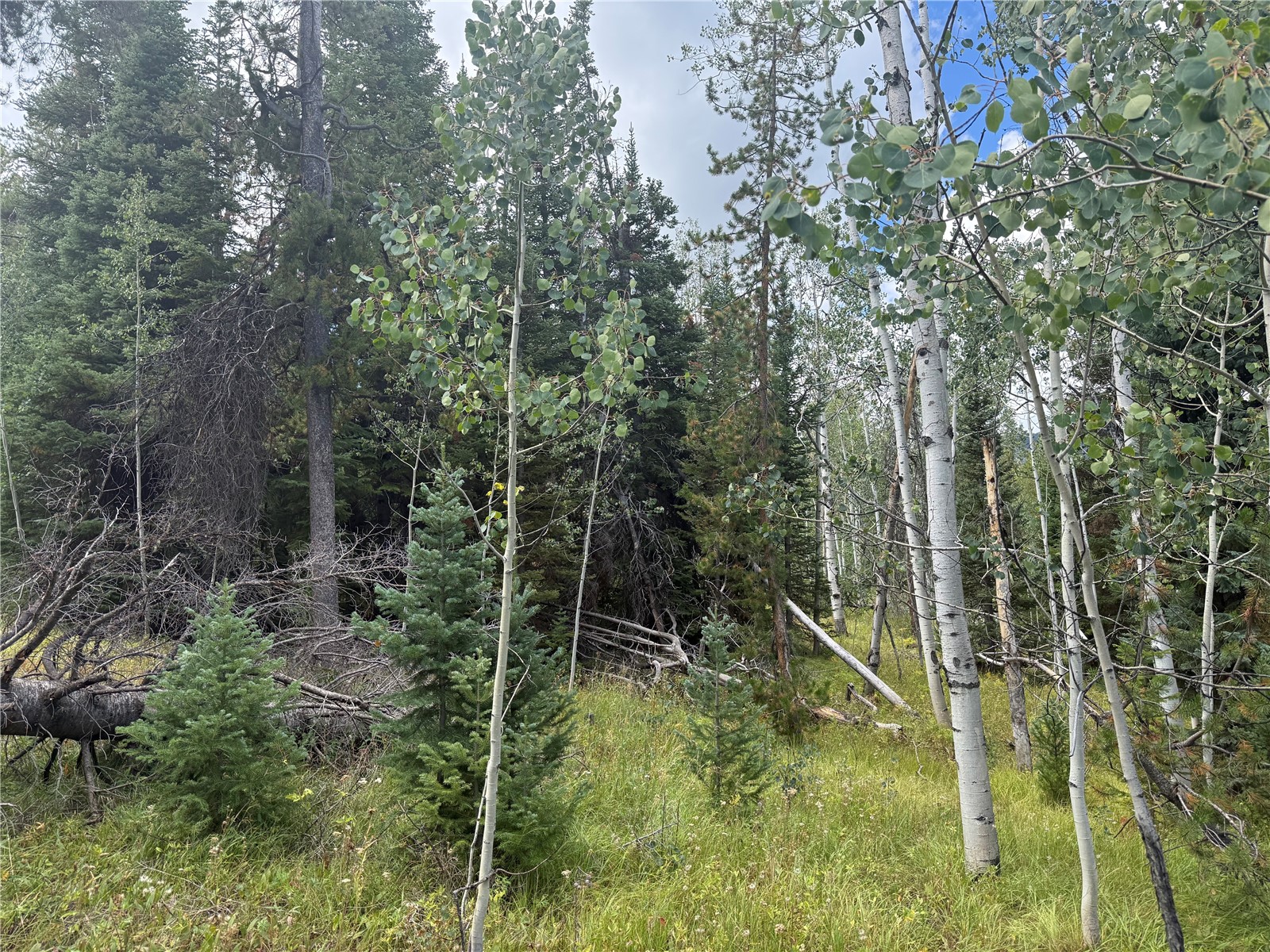 20875 Mustang Way Oak Creek CO 80467