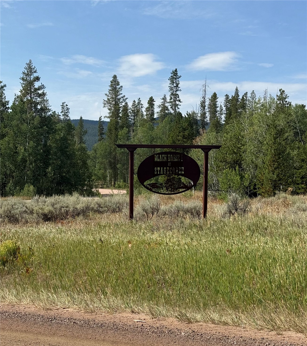 20875 Mustang Way Oak Creek CO 80467