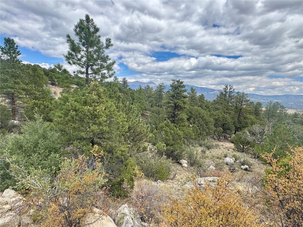 30110 Princeton Buena Vista CO 81211