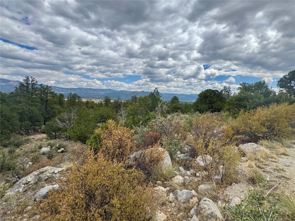 30110 Princeton Buena Vista CO 81211