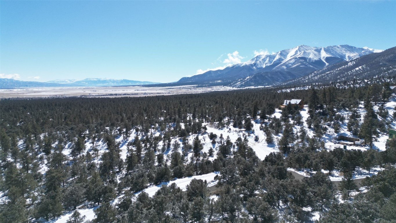 30110 Princeton Buena Vista CO 81211