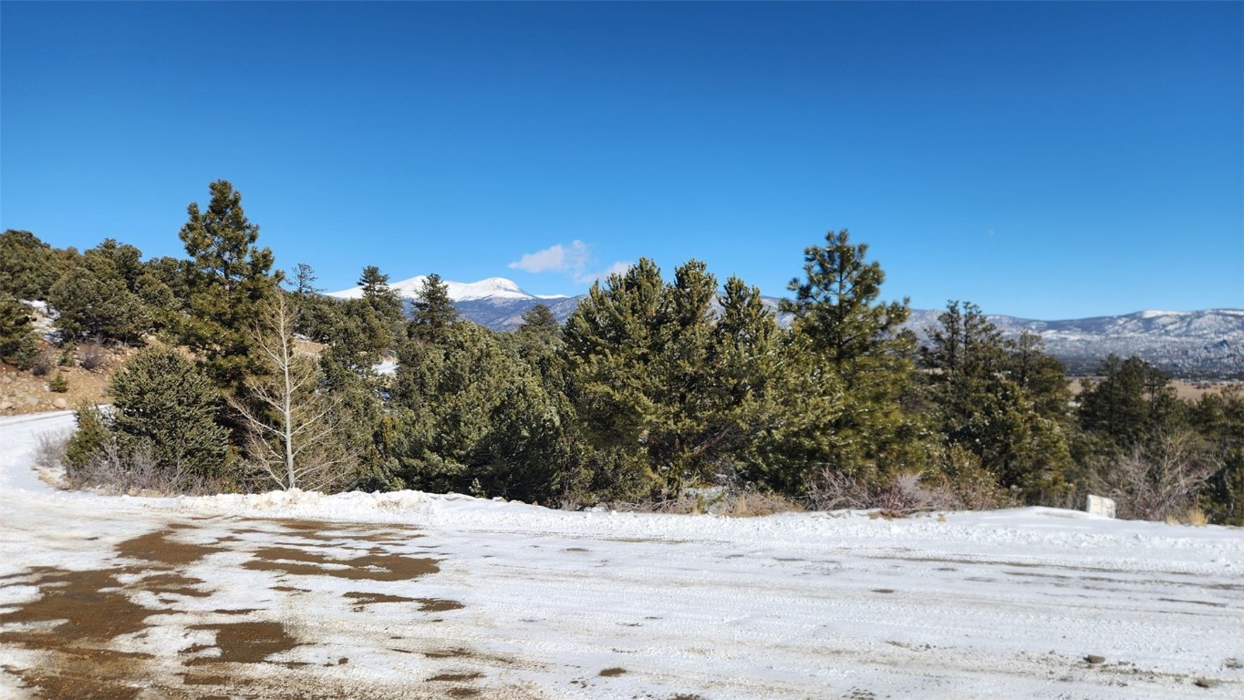 30110 Princeton Buena Vista CO 81211