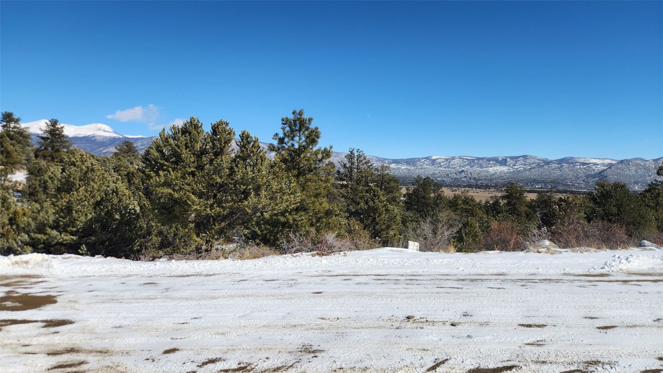 30110 Princeton Buena Vista CO 81211
