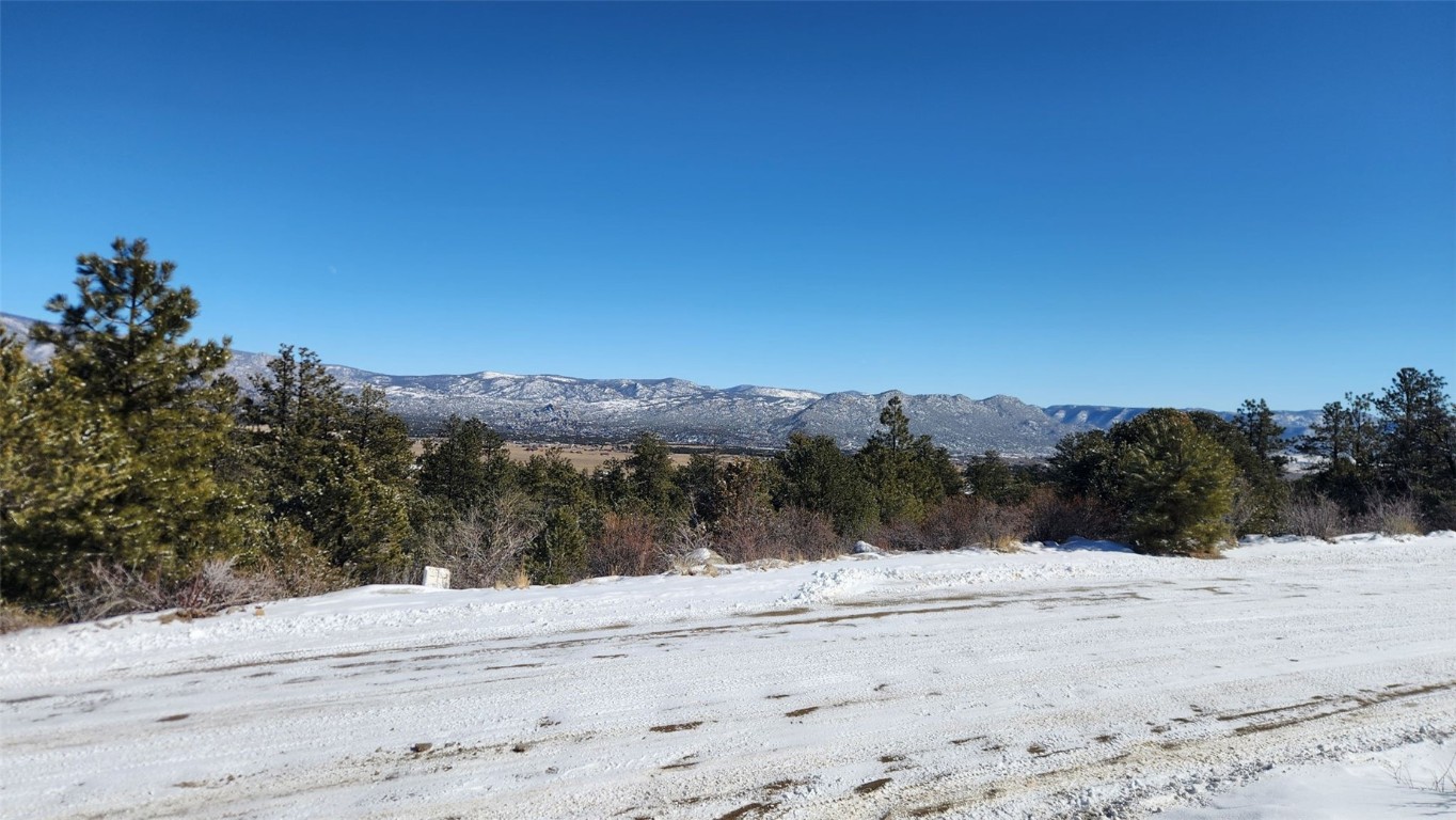 30110 Princeton Buena Vista CO 81211