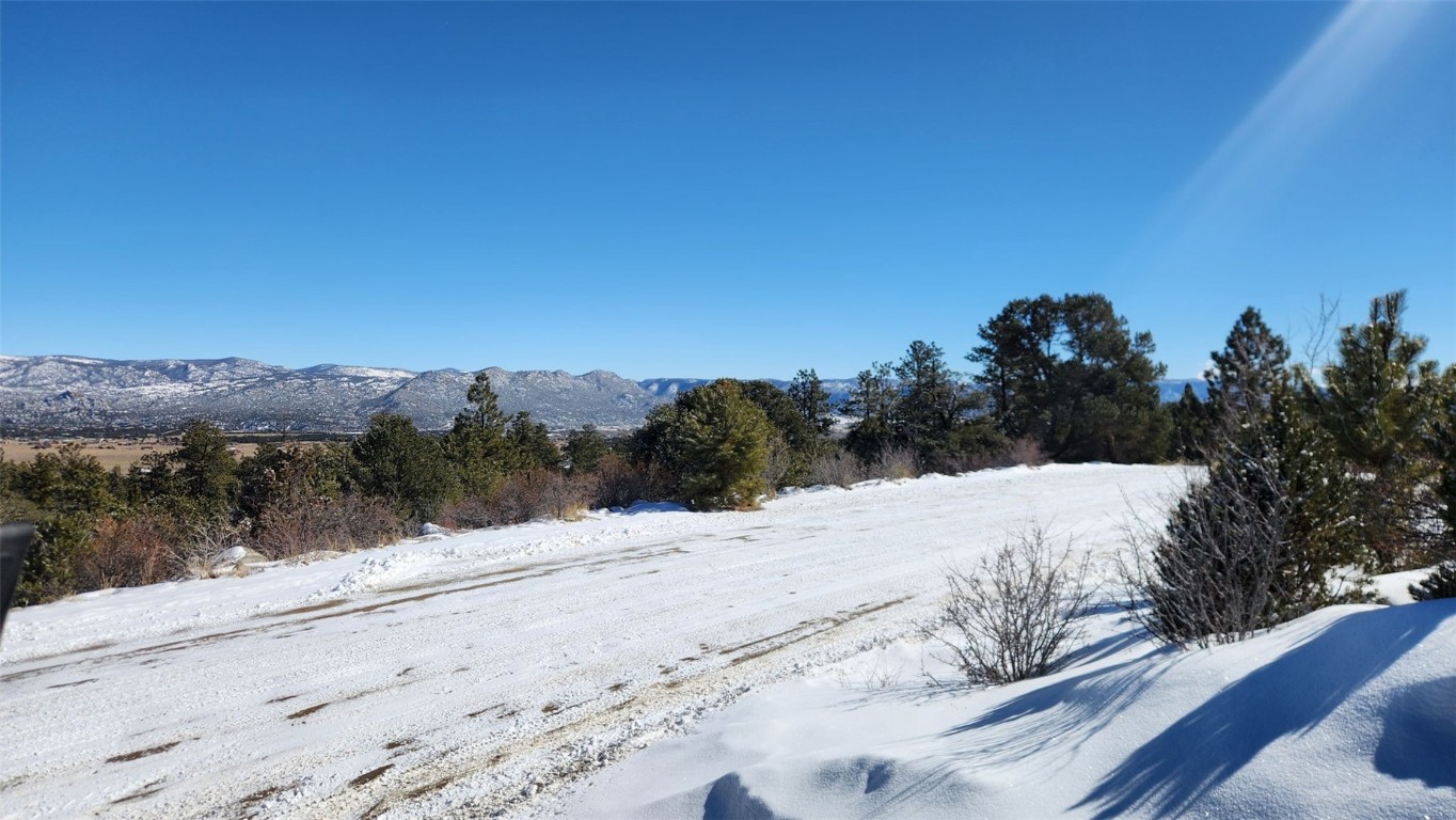 30110 Princeton Buena Vista CO 81211
