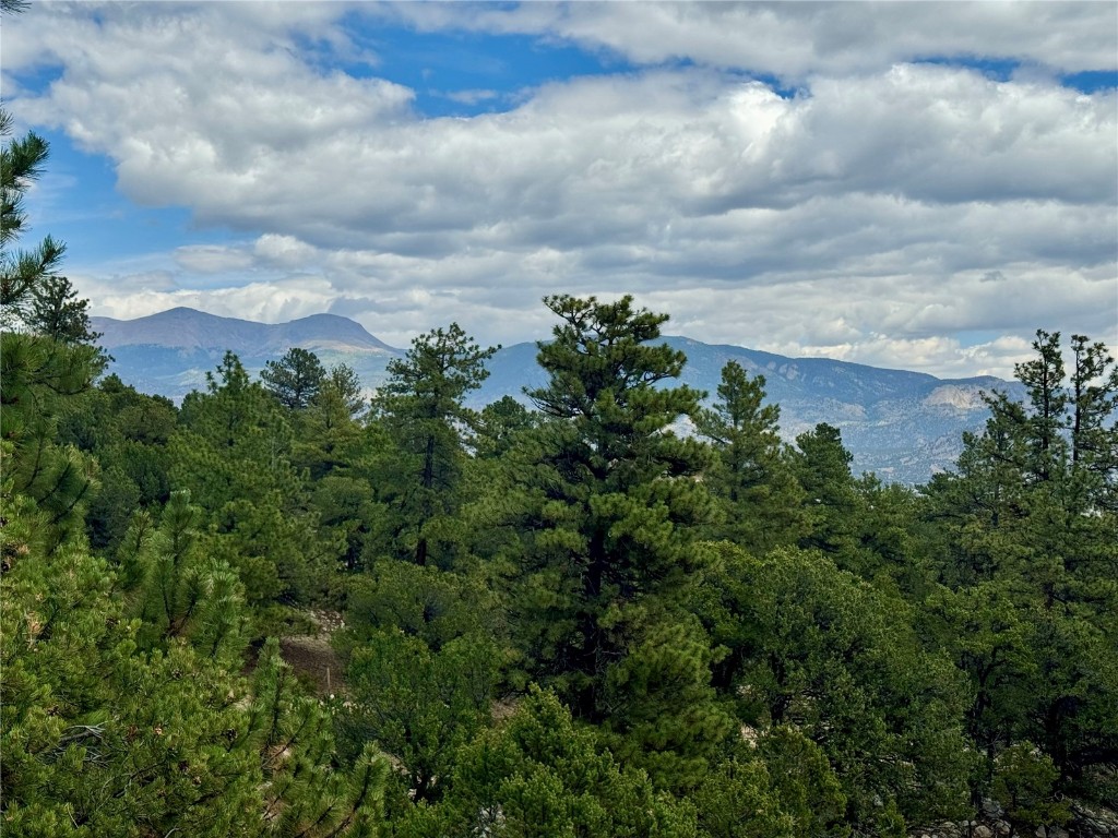 30110 Princeton Buena Vista CO 81211