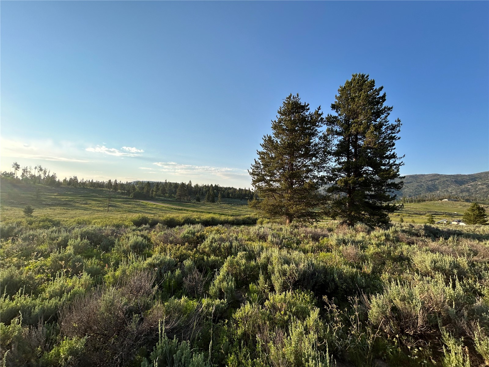 20965 Hoch Eye Way Oak Creek CO 80467