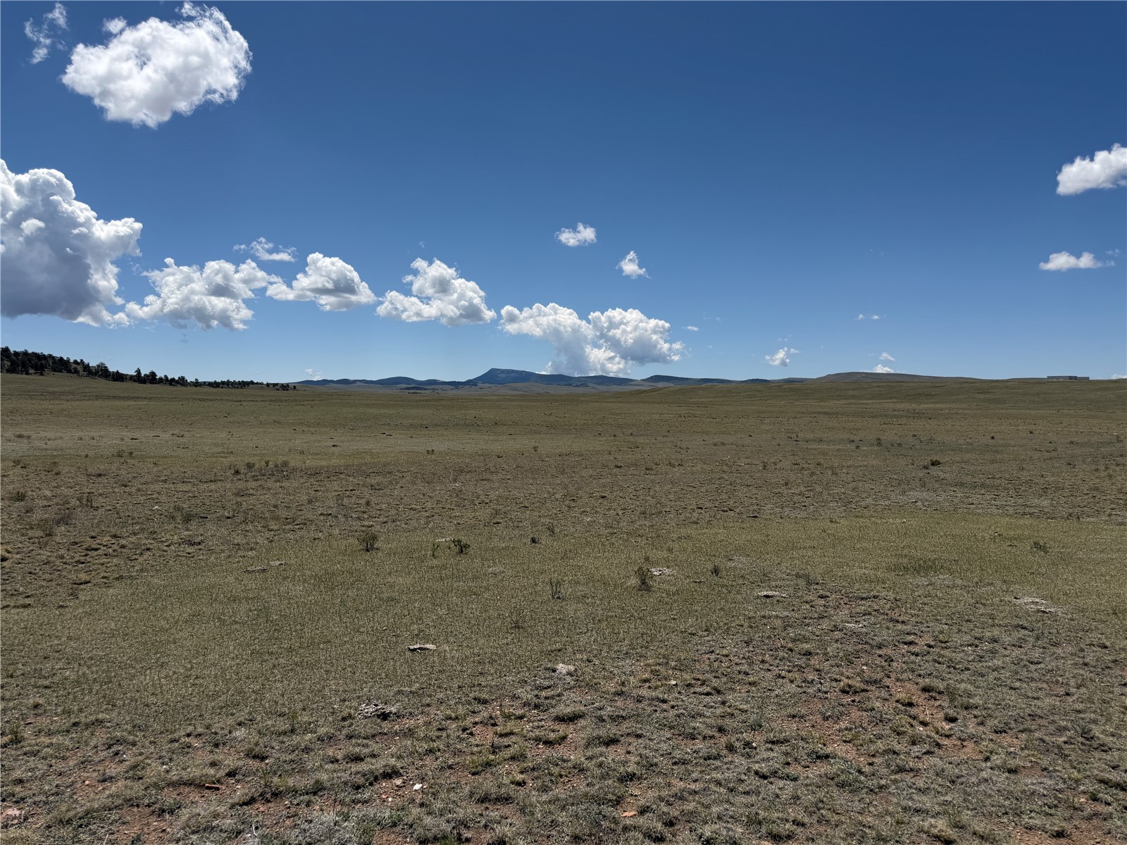 1338 Chimapavi Trail Hartsel CO 80449