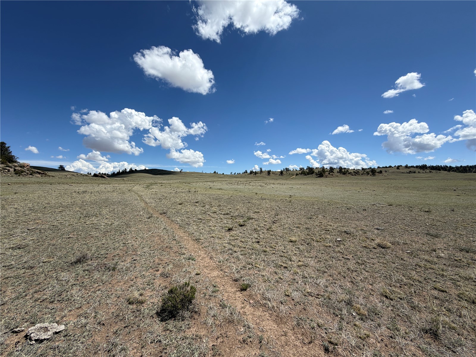 1338 Chimapavi Trail Hartsel CO 80449
