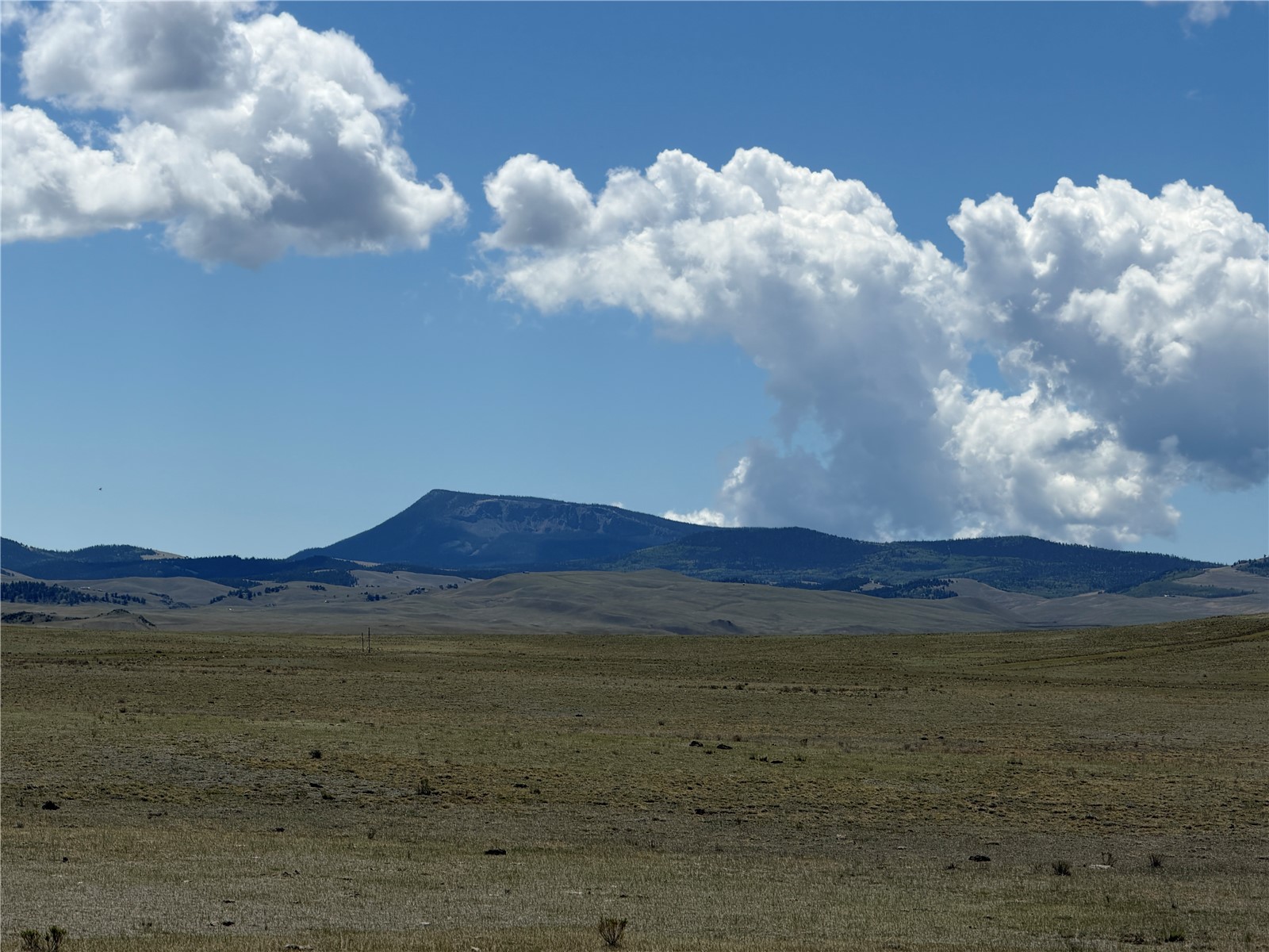 1338 Chimapavi Trail Hartsel CO 80449