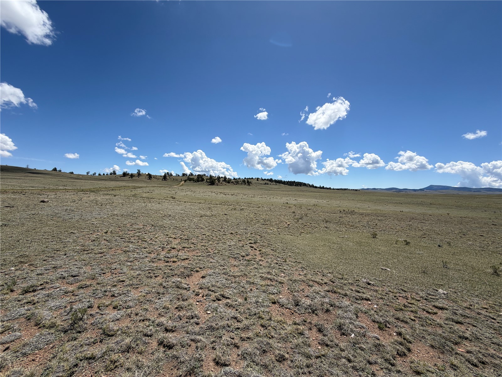 1338 Chimapavi Trail Hartsel CO 80449