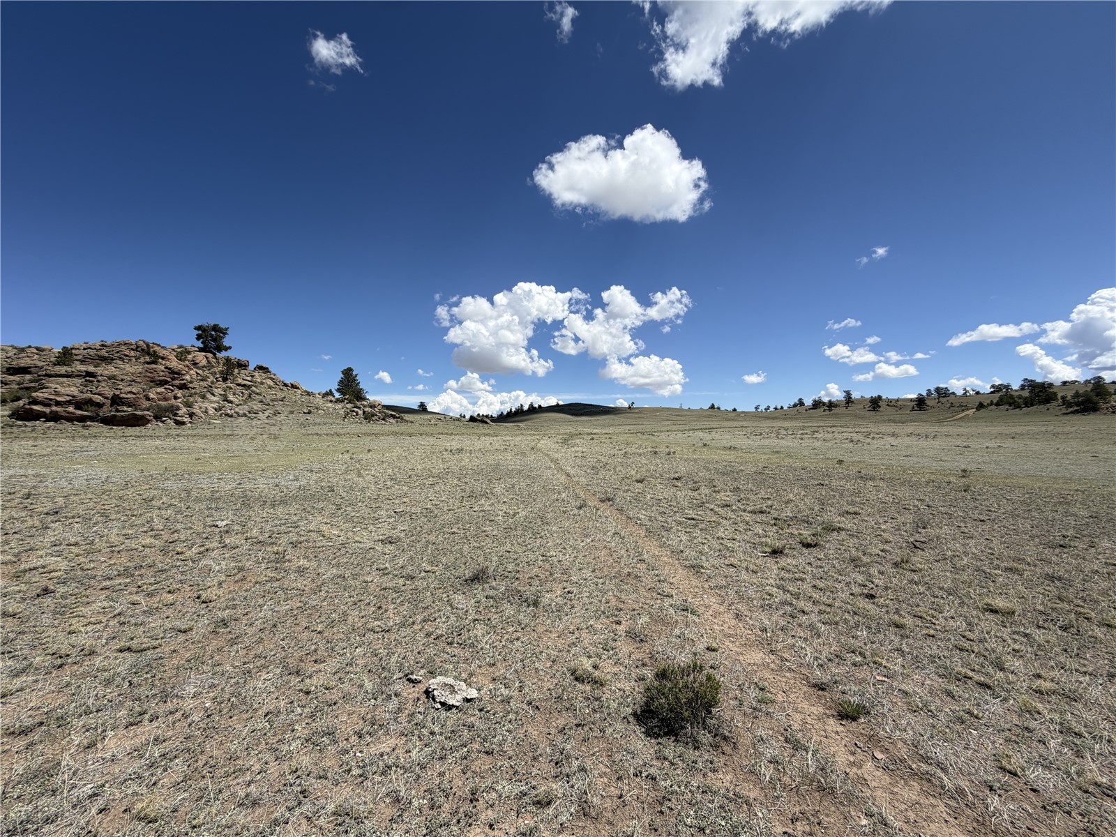 1338 Chimapavi Trail Hartsel CO 80449