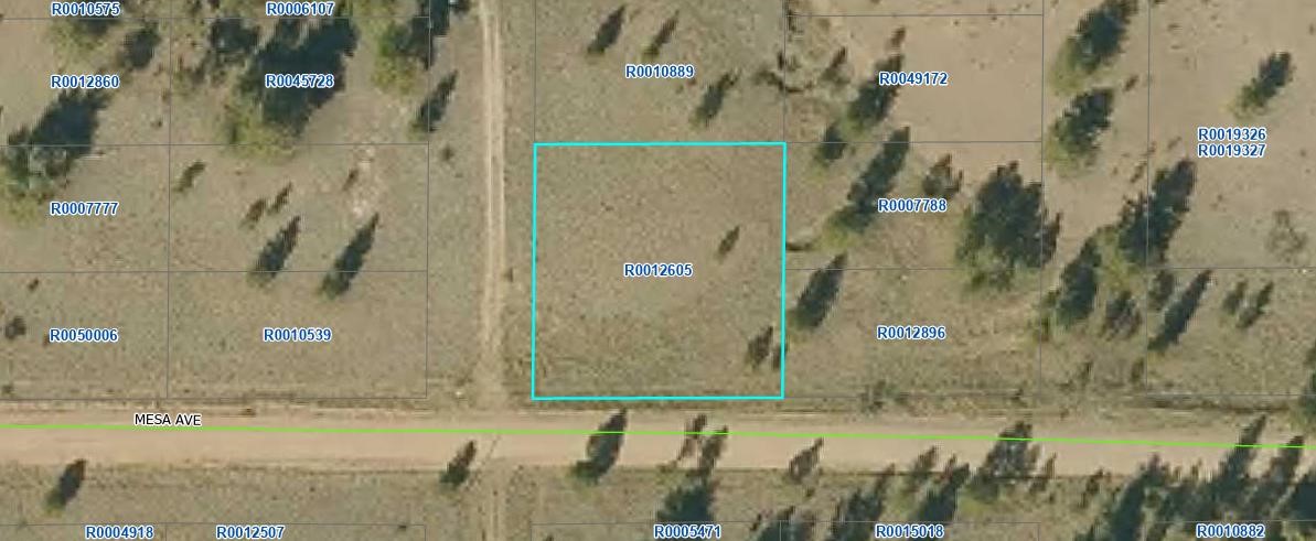00 Mesa Avenue Hartsel CO 80449