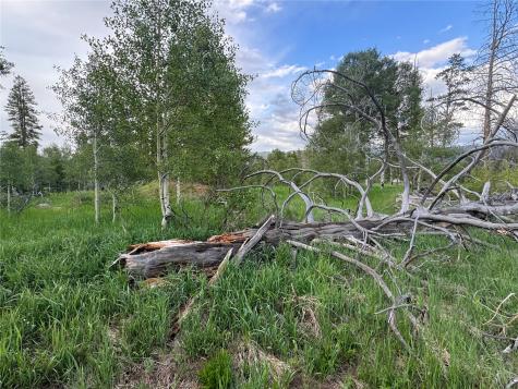 21095 Stampede Way Oak Creek CO 80467