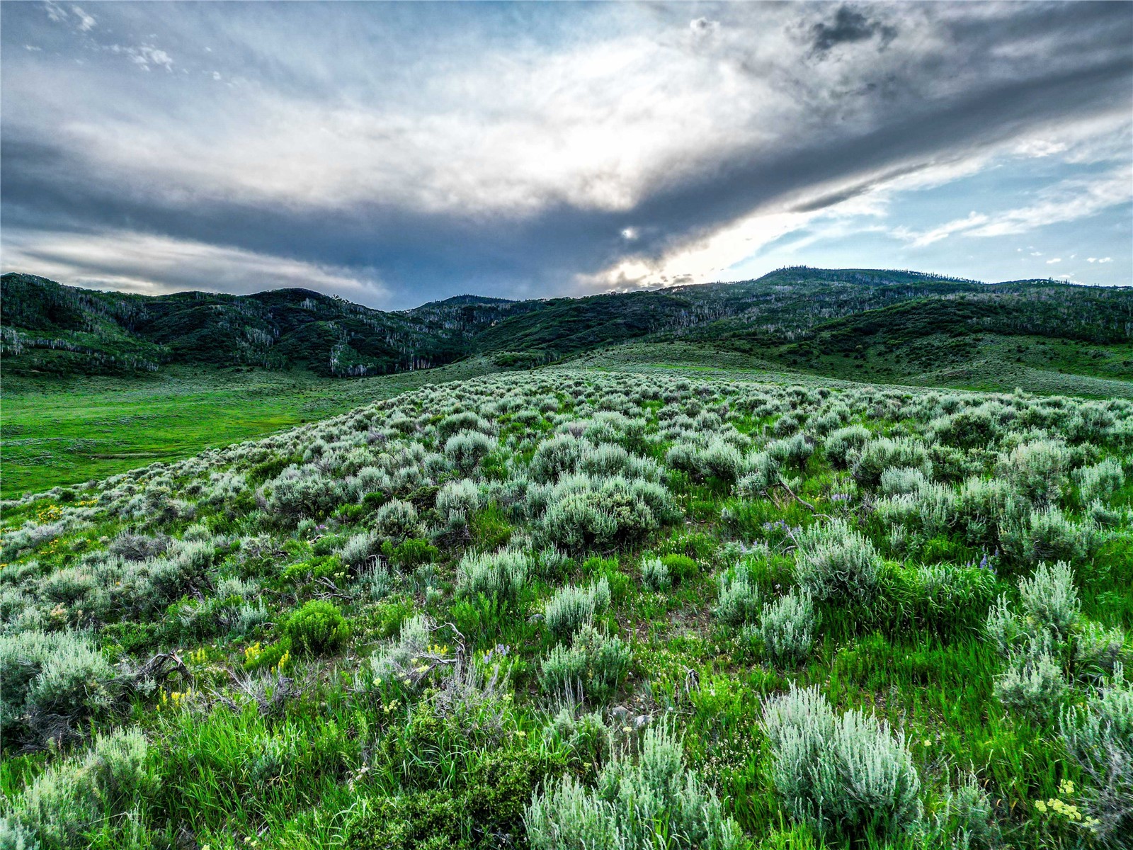 24625 Lakeside Lane Steamboat Springs CO 80467