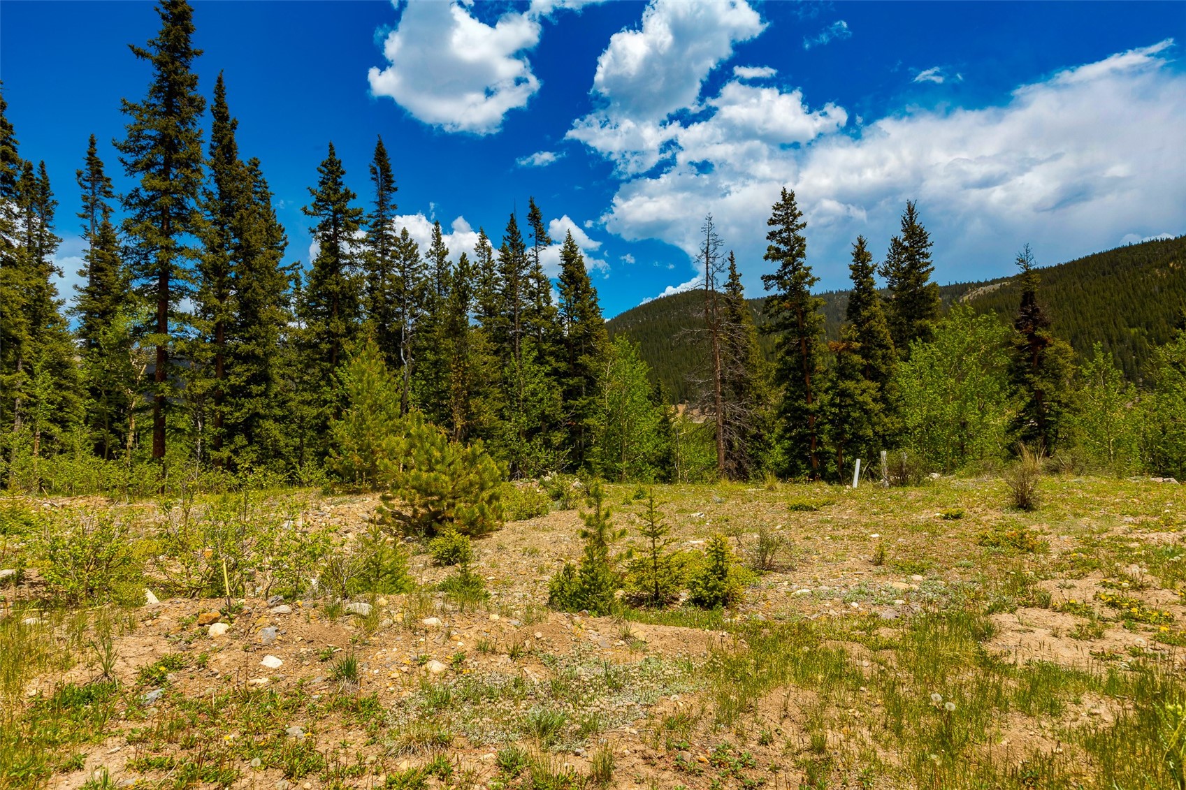 522 Quartzville Road Alma CO 80420