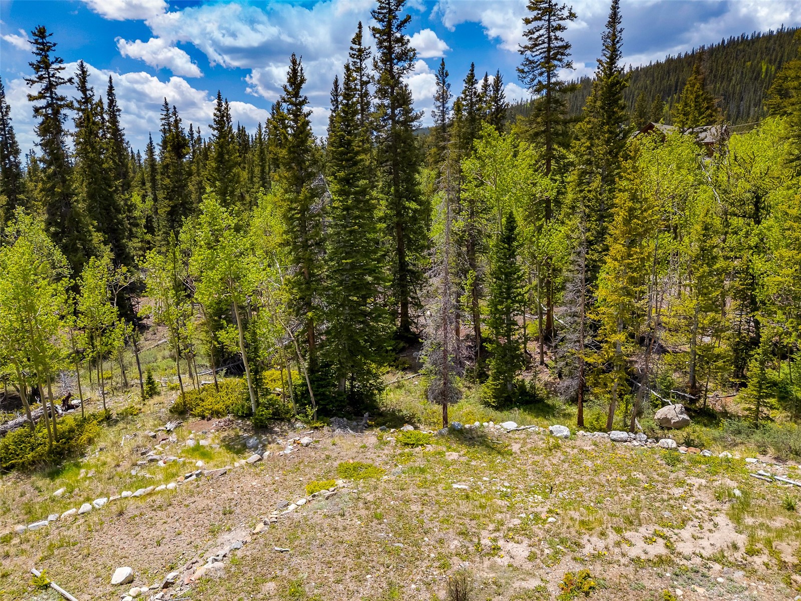 522 Quartzville Road Alma CO 80420