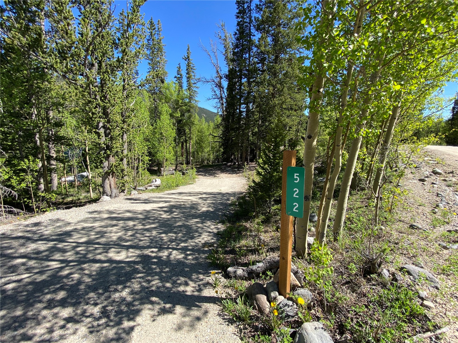 522 Quartzville Road Alma CO 80420